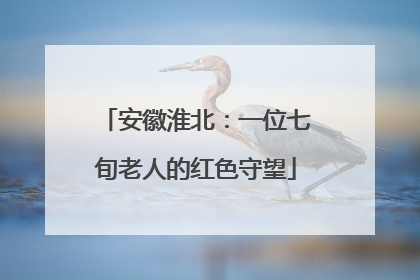 安徽淮北：一位七旬老人的红色守望