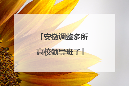 安徽调整多所高校领导班子