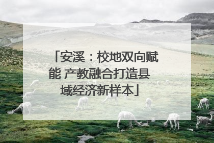 安溪：校地双向赋能 产教融合打造县域经济新样本