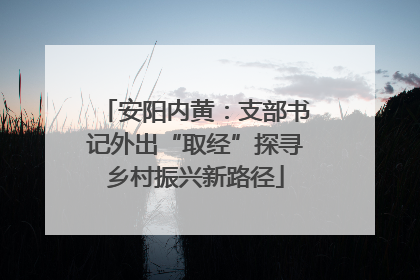 安阳内黄：支部书记外出“取经”探寻乡村振兴新路径