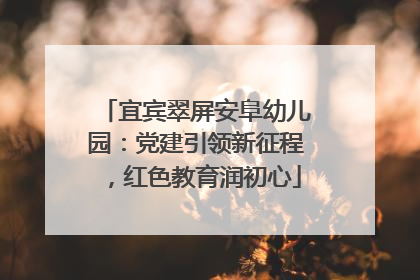 宜宾翠屏安阜幼儿园：党建引领新征程，红色教育润初心