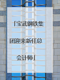 宝武钢铁集团迎来新任总会计师