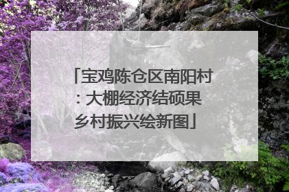 宝鸡陈仓区南阳村：大棚经济结硕果 乡村振兴绘新图