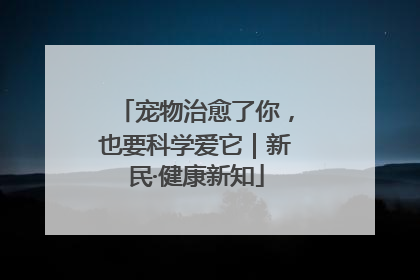 宠物治愈了你，也要科学爱它｜新民·健康新知