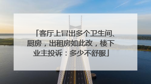 客厅上冒出多个卫生间、厨房，出租房如此改，楼下业主投诉：多少不舒服
