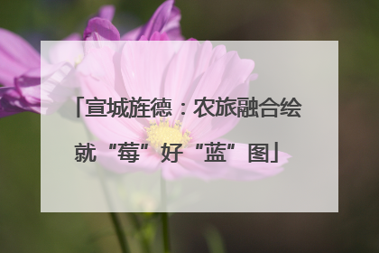 宣城旌德：农旅融合绘就“莓”好“蓝”图