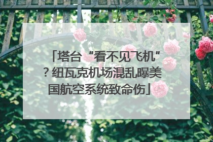 塔台“看不见飞机”？纽瓦克机场混乱曝美国航空系统致命伤
