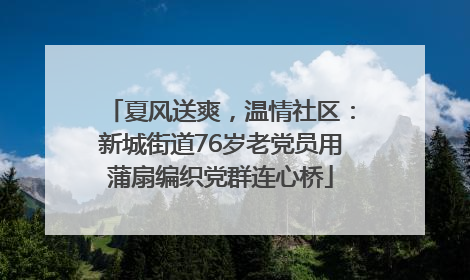 夏风送爽，温情社区：新城街道76岁老党员用蒲扇编织党群连心桥
