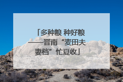 多种粮 种好粮——晋南“麦田夫妻档”忙夏收