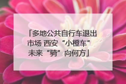 多地公共自行车退出市场 西安“小橙车”未来“骑”向何方
