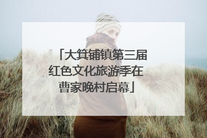 大箕铺镇第三届红色文化旅游季在曹家晚村启幕
