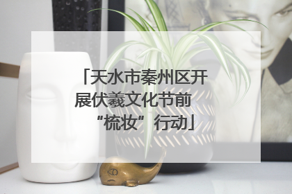 天水市秦州区开展伏羲文化节前 “梳妆”行动
