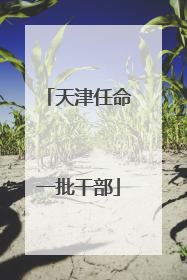 天津任命一批干部