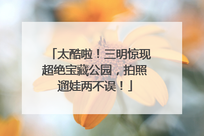 太酷啦！三明惊现超绝宝藏公园，拍照遛娃两不误！