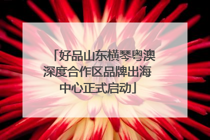 好品山东横琴粤澳深度合作区品牌出海中心正式启动