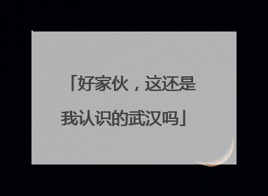 好家伙，这还是我认识的武汉吗
