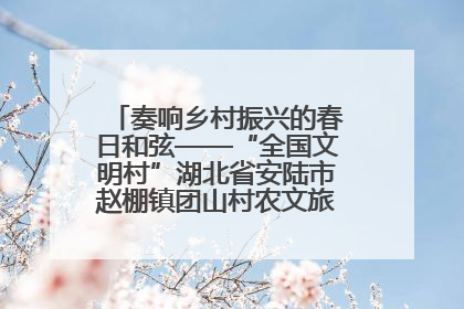 奏响乡村振兴的春日和弦——“全国文明村”湖北省安陆市赵棚镇团山村农文旅融合发展见闻