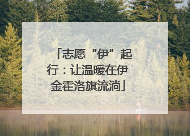志愿“伊”起行：让温暖在伊金霍洛旗流淌