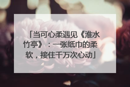 当可心柔遇见《淮水竹亭》：一张纸巾的柔软，接住千万次心动