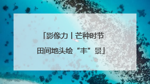 影像力丨芒种时节 田间地头绘“丰”景