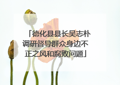德化县县长吴志朴调研督导群众身边不正之风和腐败问题