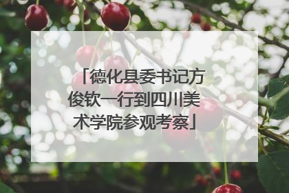 德化县委书记方俊钦一行到四川美术学院参观考察