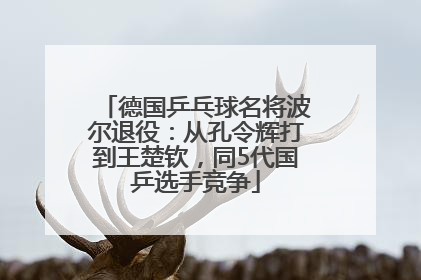 德国乒乓球名将波尔退役：从孔令辉打到王楚钦，同5代国乒选手竞争