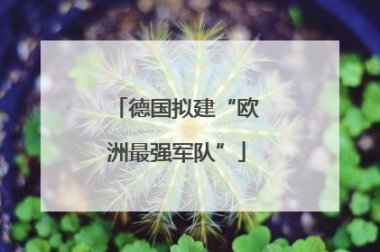德国拟建“欧洲最强军队”