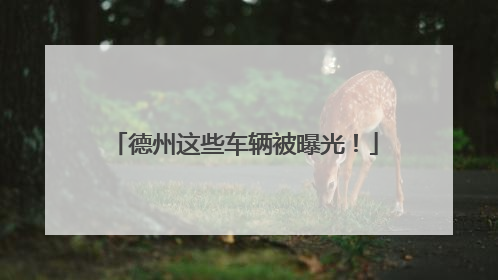 德州这些车辆被曝光！
