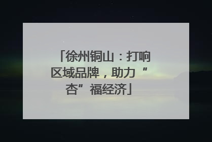 徐州铜山：打响区域品牌，助力“杏”福经济