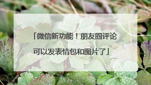 微信新功能！朋友圈评论可以发表情包和图片了