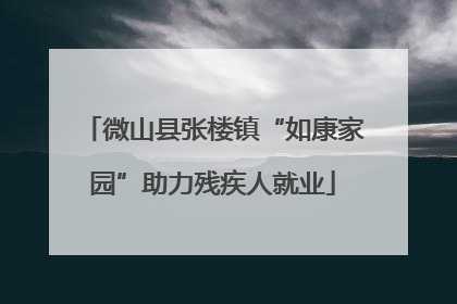 微山县张楼镇“如康家园”助力残疾人就业