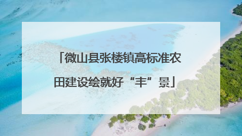 微山县张楼镇高标准农田建设绘就好“丰”景
