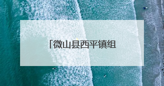 微山县西平镇组织开展“我在新时代文明实践中心过端午”活动