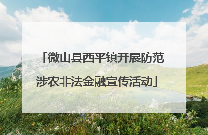 微山县西平镇开展防范涉农非法金融宣传活动