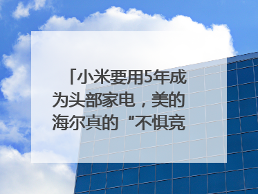 小米要用5年成为头部家电，美的海尔真的“不惧竞争”？｜热财经