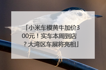 小米车模黄牛加价300元！实车本周到店？大湾区车展将亮相