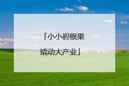 小小碧根果撬动大产业
