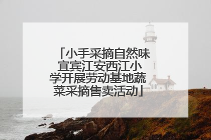 小手采摘自然味 宜宾江安西江小学开展劳动基地蔬菜采摘售卖活动