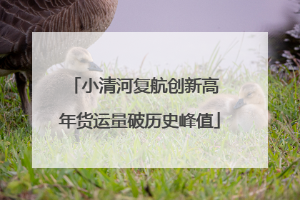 小清河复航创新高 年货运量破历史峰值