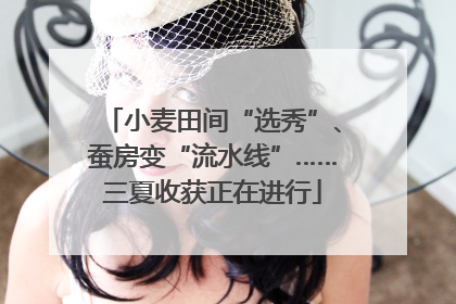 小麦田间“选秀”、蚕房变“流水线”……三夏收获正在进行