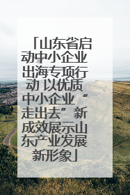 山东省启动中小企业出海专项行动 以优质中小企业“走出去”新成效展示山东产业发展新形象