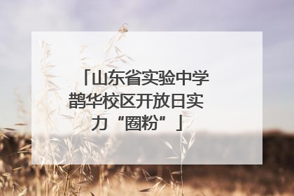 山东省实验中学鹊华校区开放日实力“圈粉”