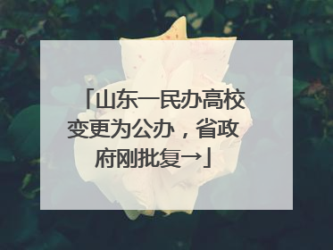 山东一民办高校变更为公办，省政府刚批复→