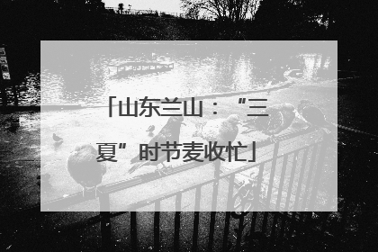 山东兰山：“三夏”时节麦收忙