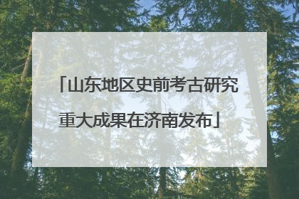 山东地区史前考古研究重大成果在济南发布