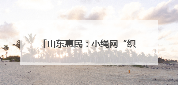 山东惠民：小绳网“织”出乡村振兴新图景