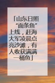 山东日照“面条鱼”上线，赶海大军凌晨点亮沙滩，有人收获满满一桶鱼