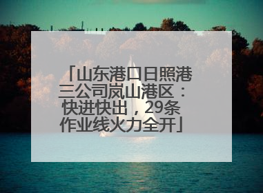 山东港口日照港三公司岚山港区：快进快出，29条作业线火力全开