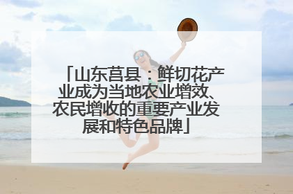 山东莒县：鲜切花产业成为当地农业增效、农民增收的重要产业发展和特色品牌
